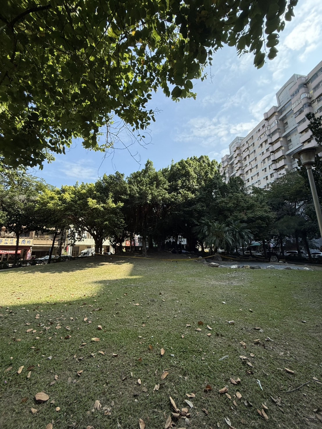 快訊／台中某公園驚見「男陳屍老榕樹上」！運動民眾嚇壞　警方急封鎖現場